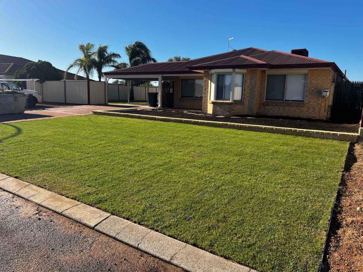 Well-maintained Green Lawn Perth