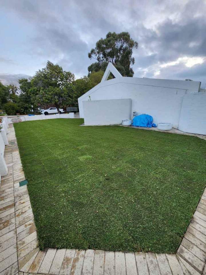 Backyard Landscaped with Artificial Turf Perth