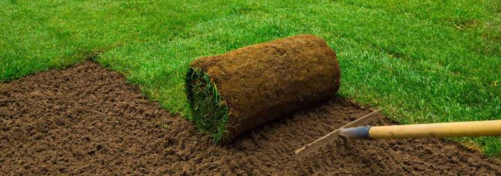 Turf Installation Perth